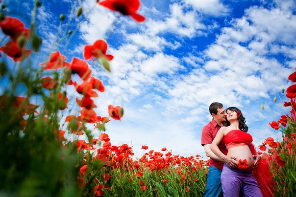 идея фотосессии беременной на маковом поле