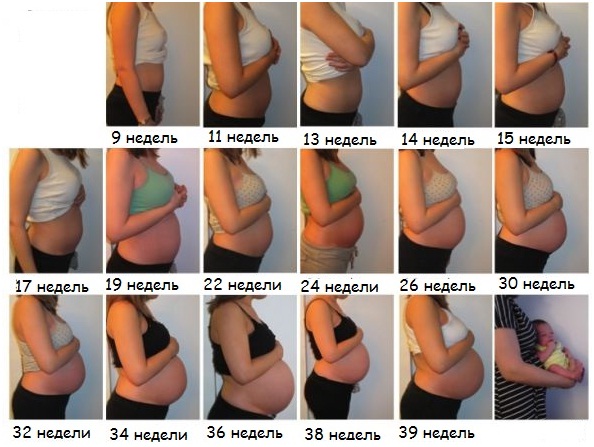 Как меняется форма живота при беременности по неделям?