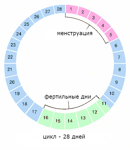 менструации и коричневые выделения