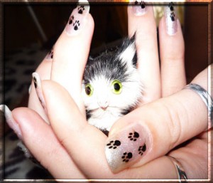 Рисунки на ногтях в домашних условиях Малюнки на нігтях в домашніх умовах. Майстер-клас, фото і відео