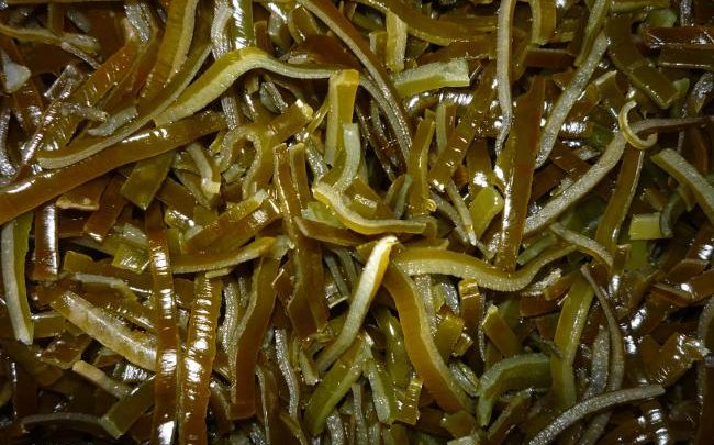 Морські водорості (ламінарія)