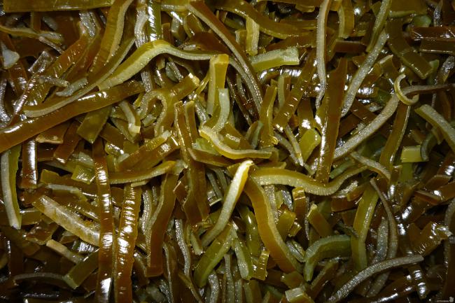 ламинария (морские водоросли)