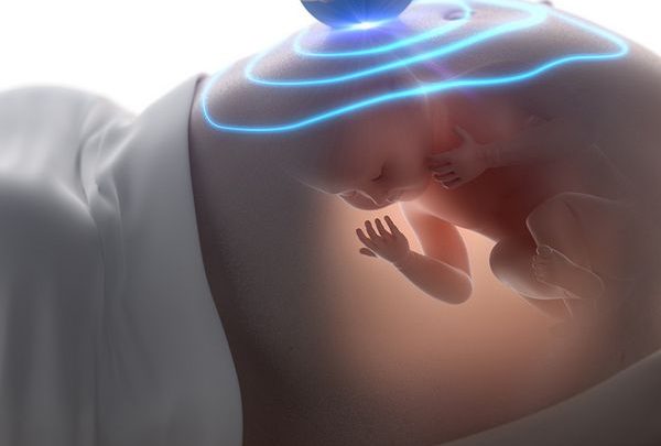 Помилки УЗД при визначенні статі дитини