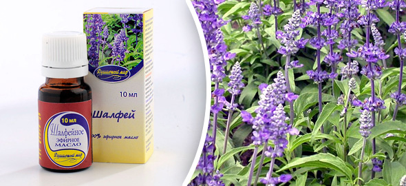 шалфей для волос