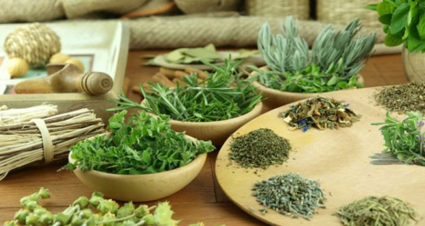 Трави для схуднення і зниження апетиту