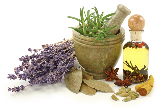 травы и похудение